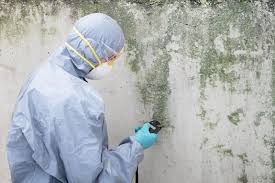 Best Mold Remediation for Healthcare Facilities  in Newington Forest, VA